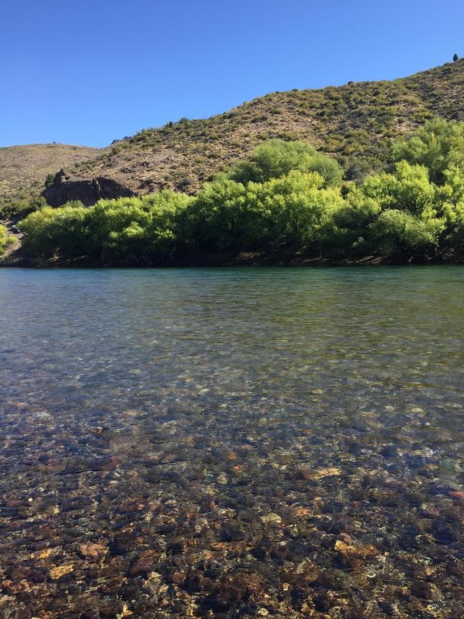 60has de campo zona de estepa - 1