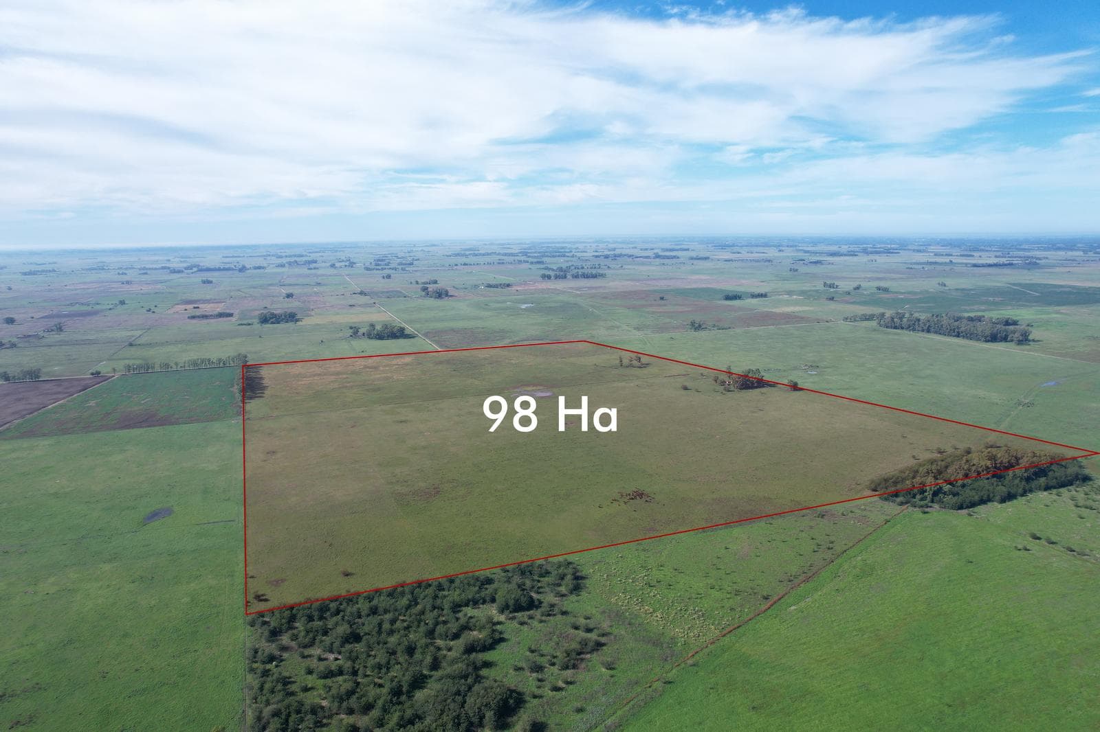 Campo en venta en Lobos - 1