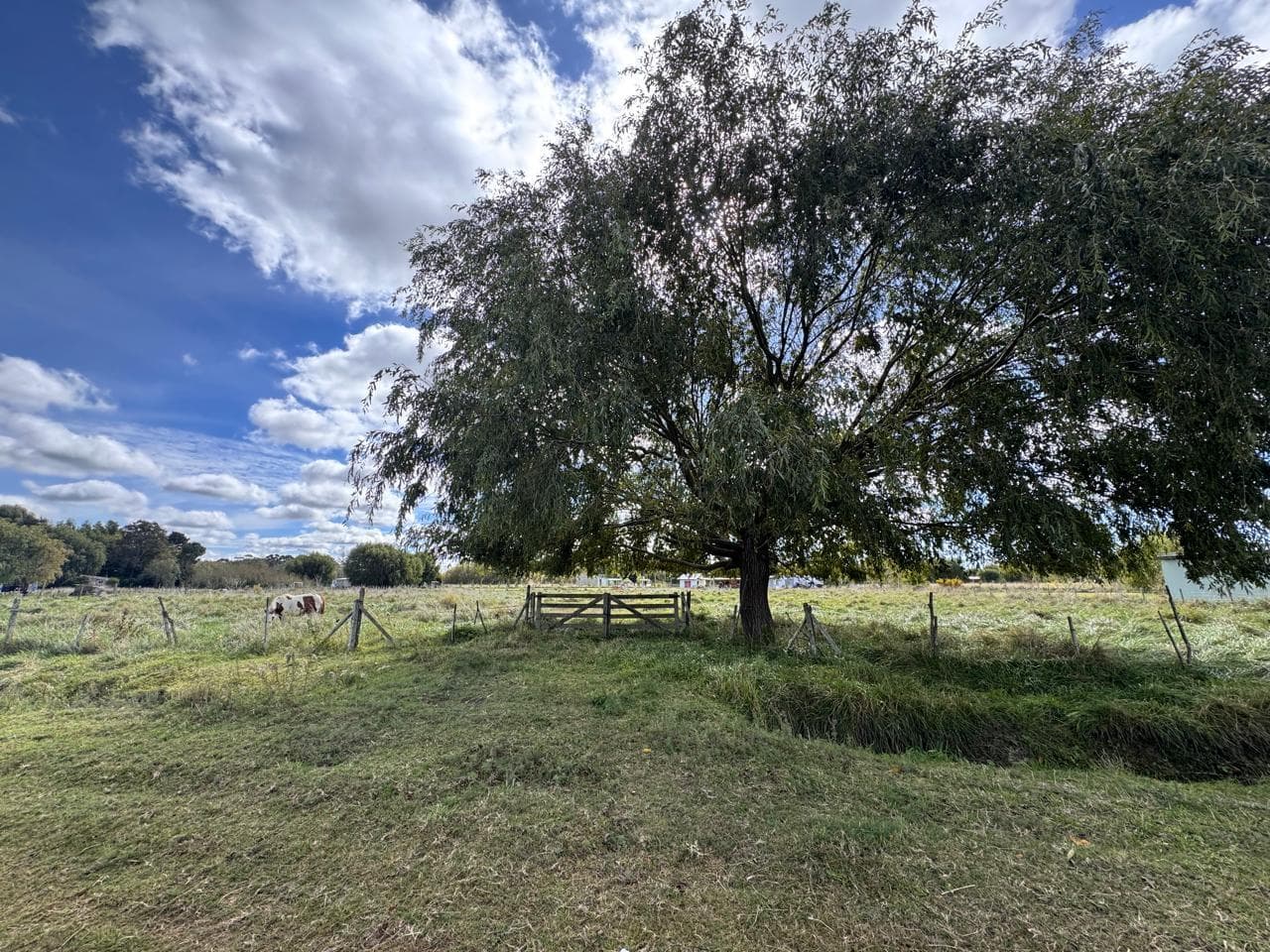 VENTA LOTE PAVON GARITA 5 DE 2.800 MT2 - 1