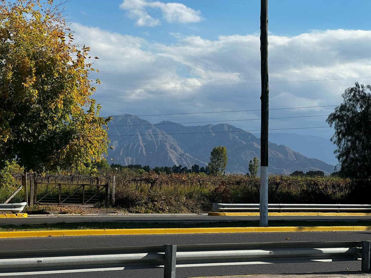 Terreno - Rivadavia - 1