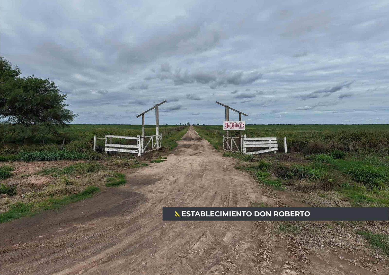 Campo Agrícola en Guardia Escolta, Departamento Belgrano. - 1