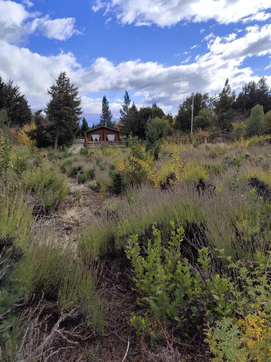 Chacra en Rincón de Lobos - 2
