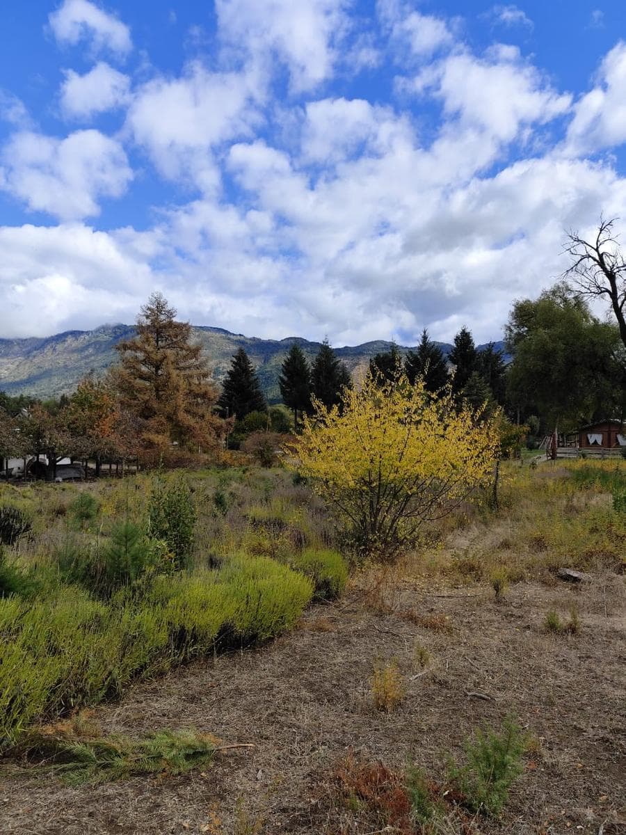 Chacra en Rincón de Lobos - 1