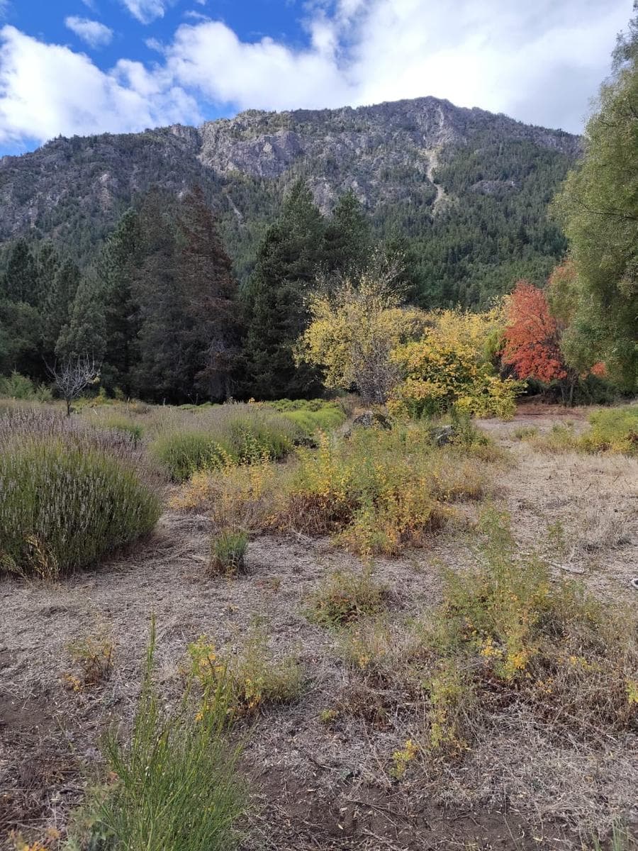 Chacra en Rincón de Lobos - 1