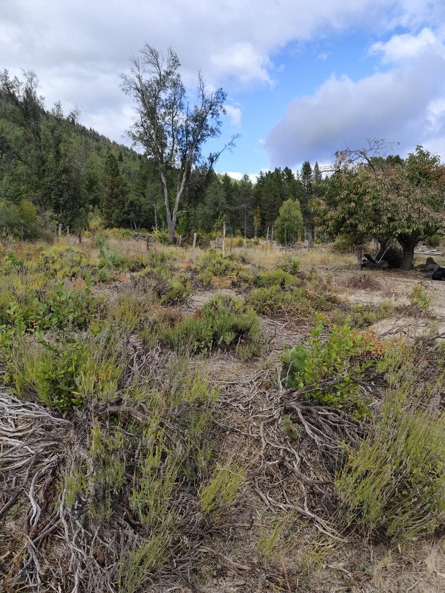 Chacra en Rincón de Lobos - 2