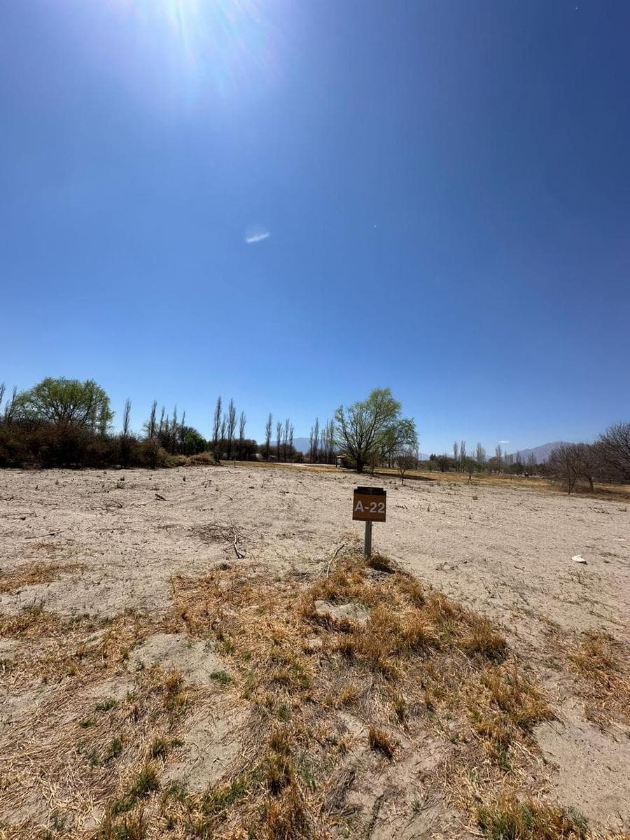 La estancia de Cafayate - 1