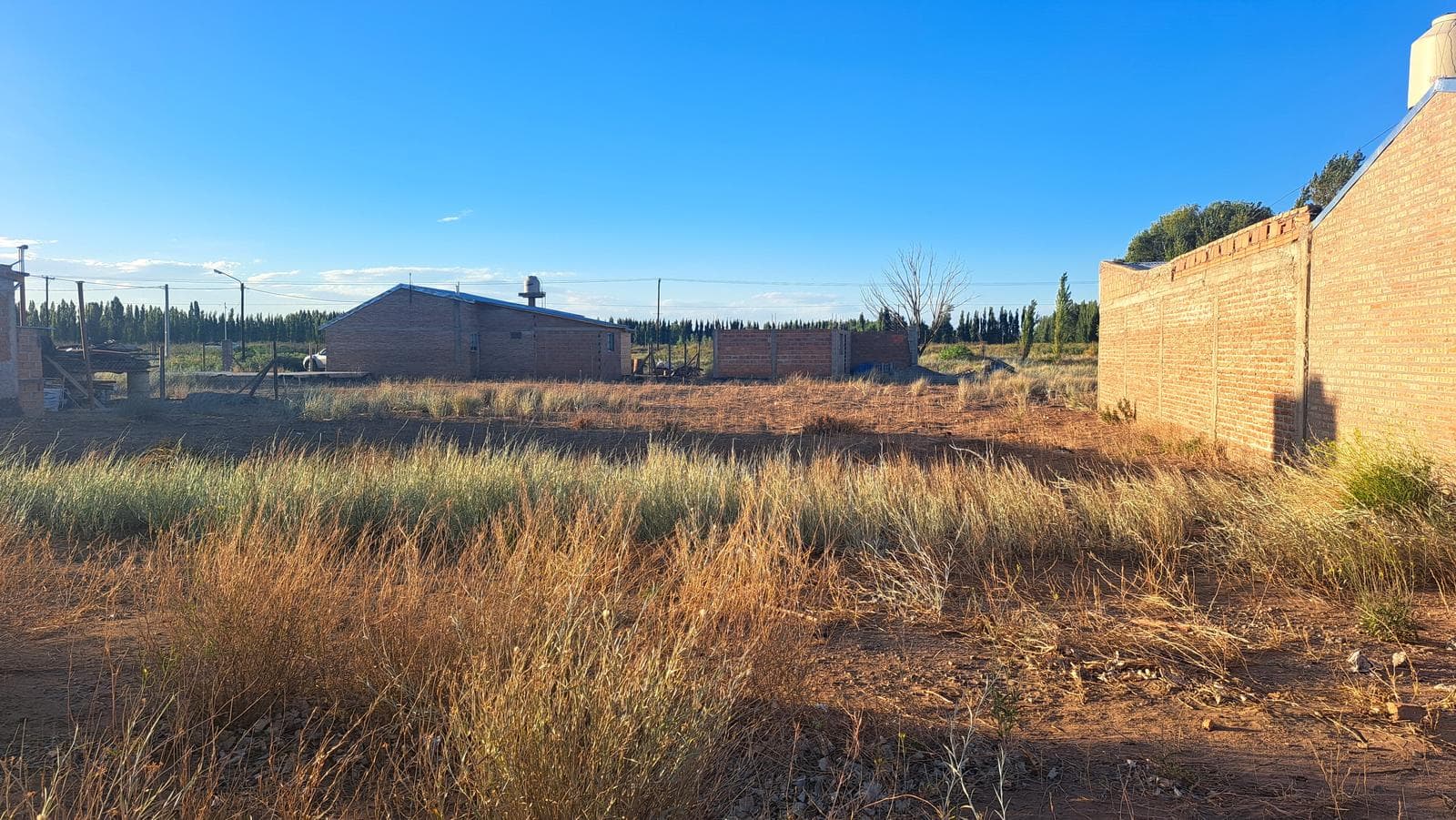 VENTA LOTE 300m2 EN SENILLOSA, PRÓXIMO RUTA 22 - 1