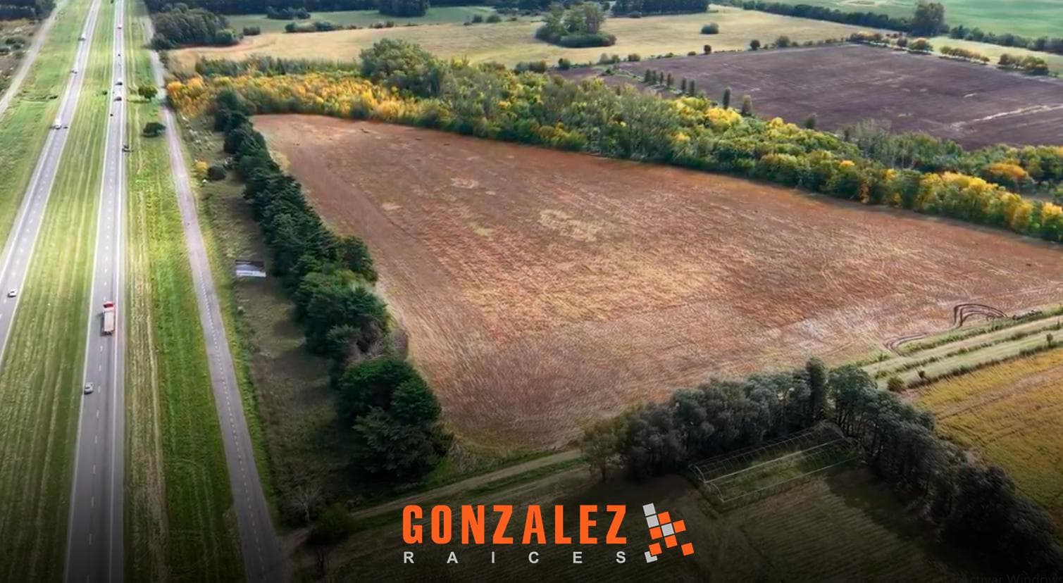 Campo 37.5 Ha - Zarate - 1