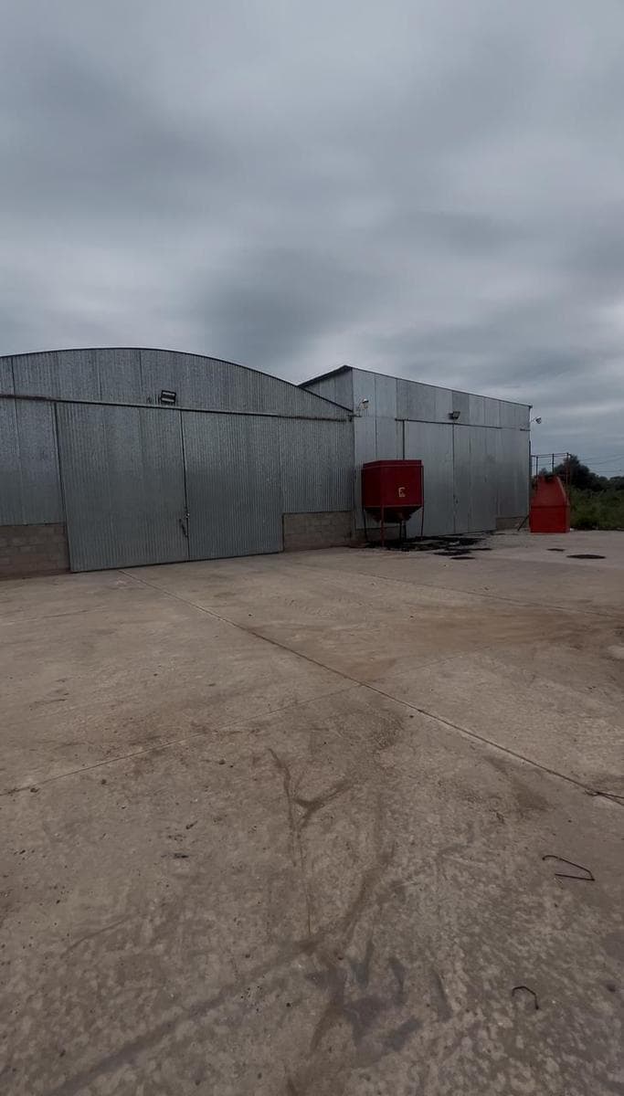 PREDIO 10 HA + BALANZA + GALPONES + VIVIENDA SOBRE RUTA 92 - 1