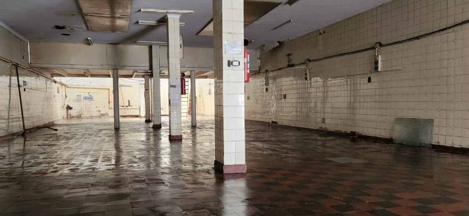 Galpón con local y oficinas. Inmueble único. - 1