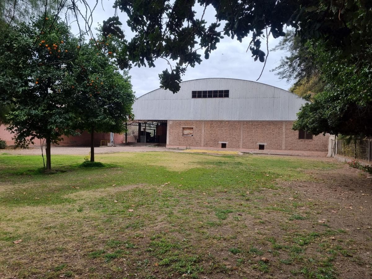 BODEGA EN VENTA - SAN ROQUE - MENDOZA - 1