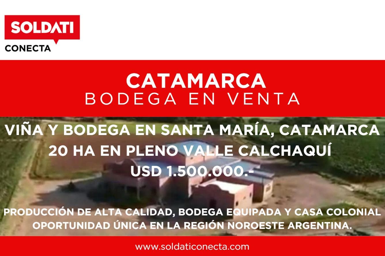 Viña y Bodega en Venta - Santa Maria - Catamarca - 1