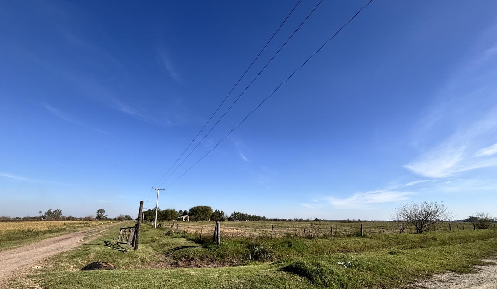 VENTA | PERMUTA - Campo superficie total 160.000 m² - Ibarlucea, Santa Fe. - 1