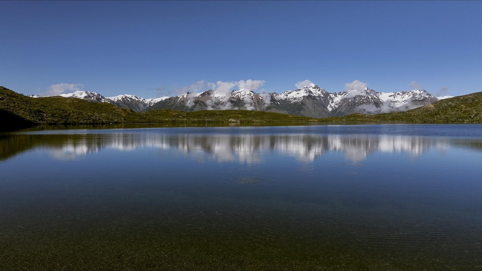 Campo en Trevelin - 1