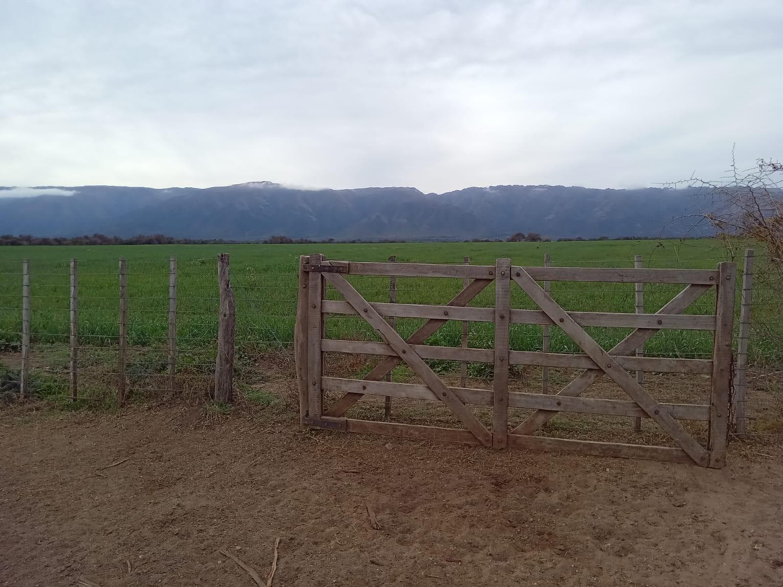 Venta Excelente Campo Agricola- Ganadero de 737 has, Cortaderas, San Luis- Financiamiento - 1