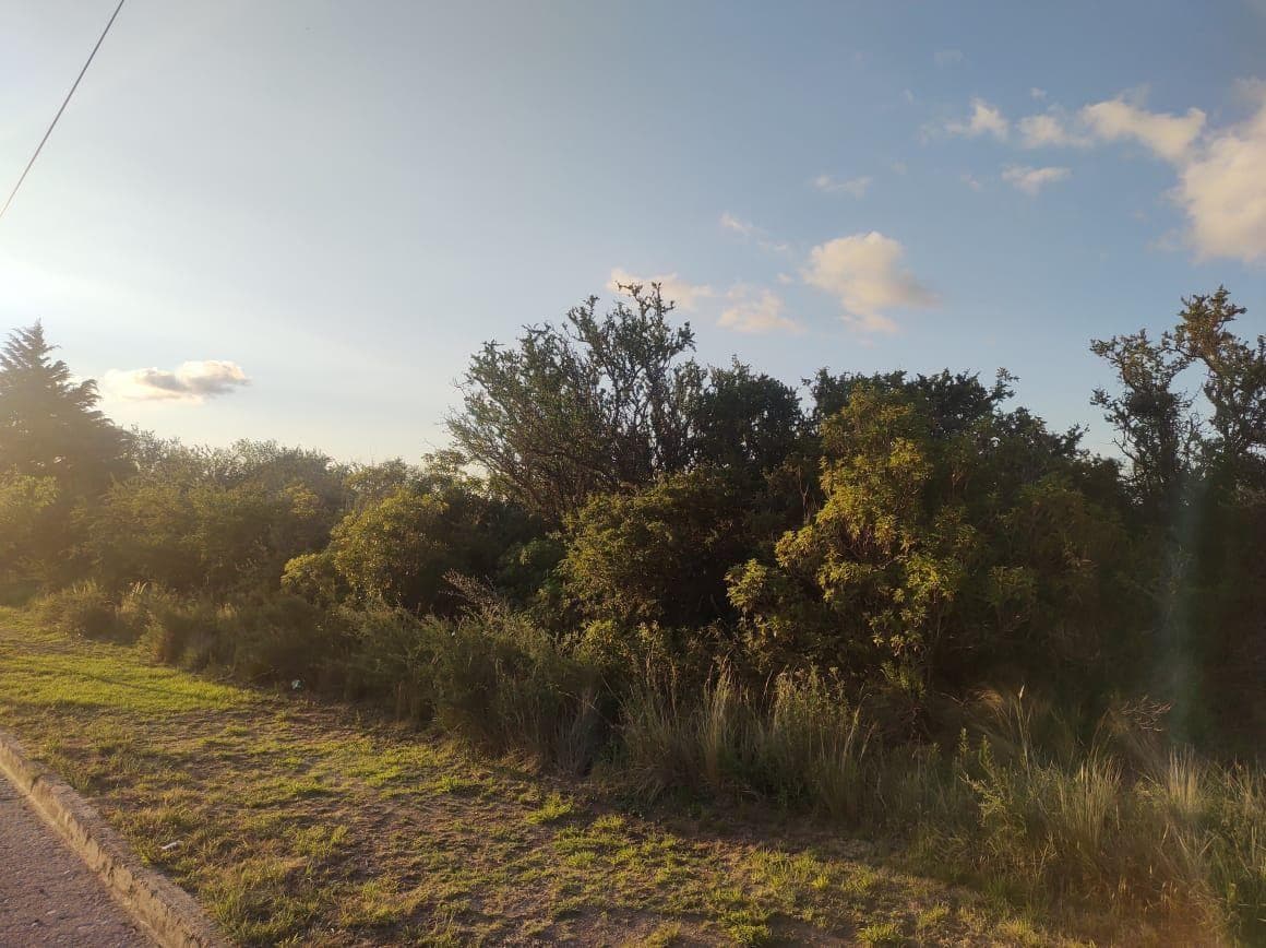 TERRENOS EN VENTA EN LOS COCOS - 1