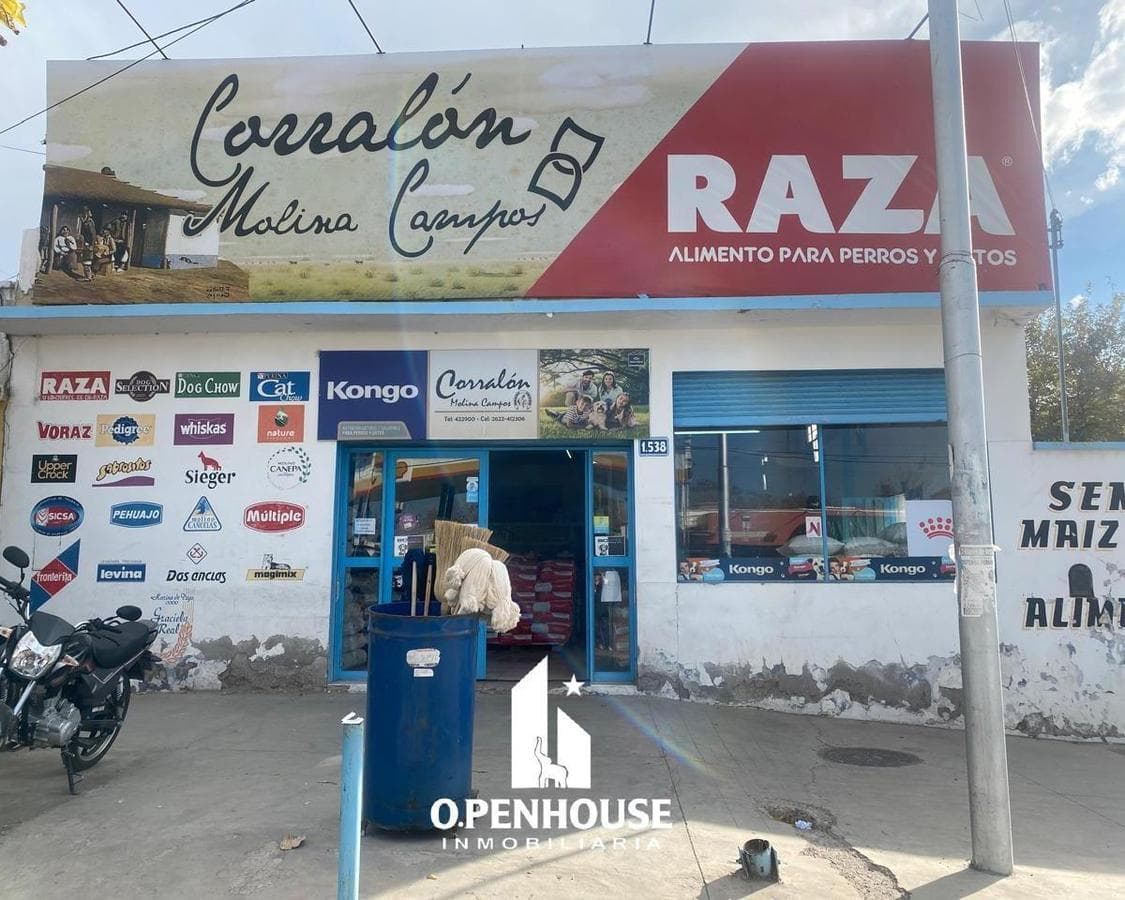 OPENHOUSE Vende Excelente Local con Galpón en pleno centro de TUNUYAN - 1