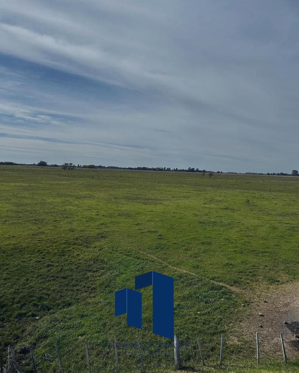 Venta Campo 227 ha en Ranchos, sobre Ruta 29 – 2 casas, 24 potreros y manga completa - 1