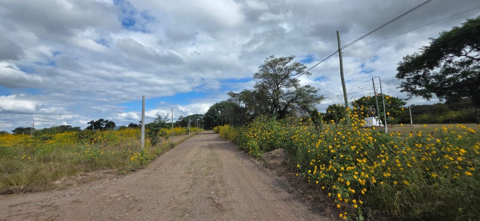 Terreno - Santo Domingo - 1