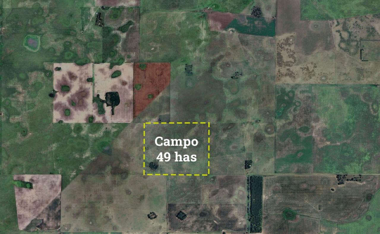 Campo en venta en Gral. Belgrano - 1