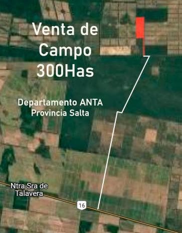 VENTA 300 has en Anta, zona Talavera. Provincia de Salta - 1
