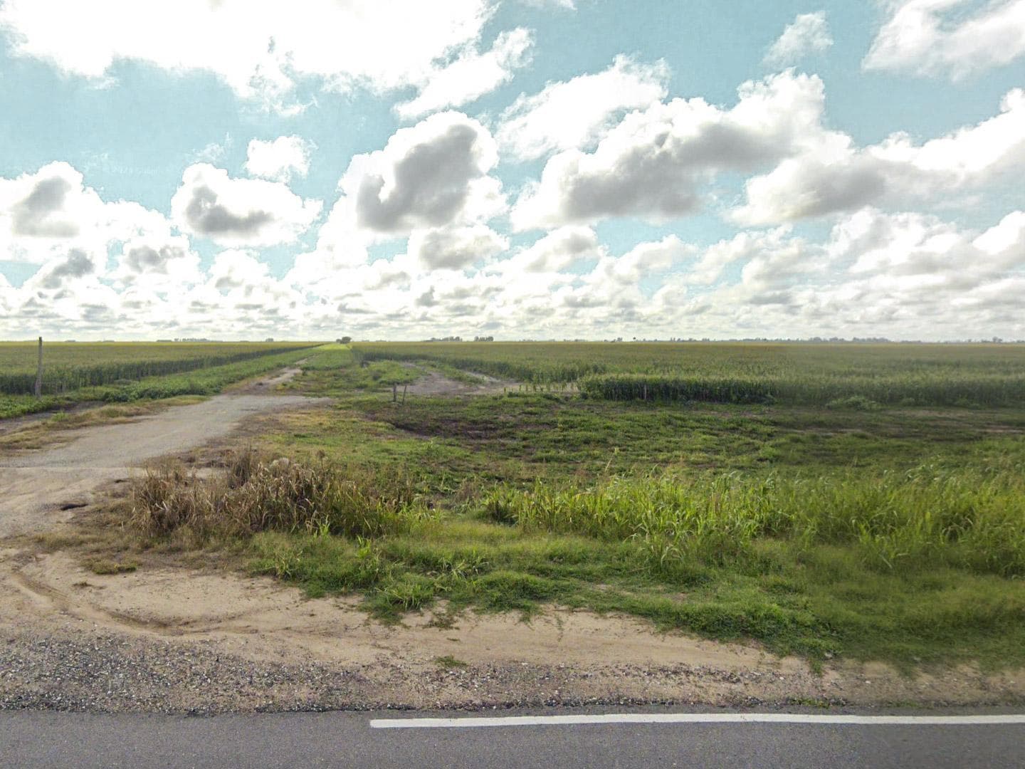 Campo de 29,9 Has para cultivos extensivos con alto potencial en zona núcleo - 1