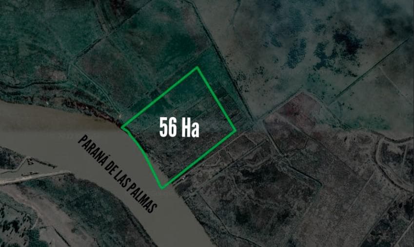 Campo en venta - 56 Ha - Zarate - 1
