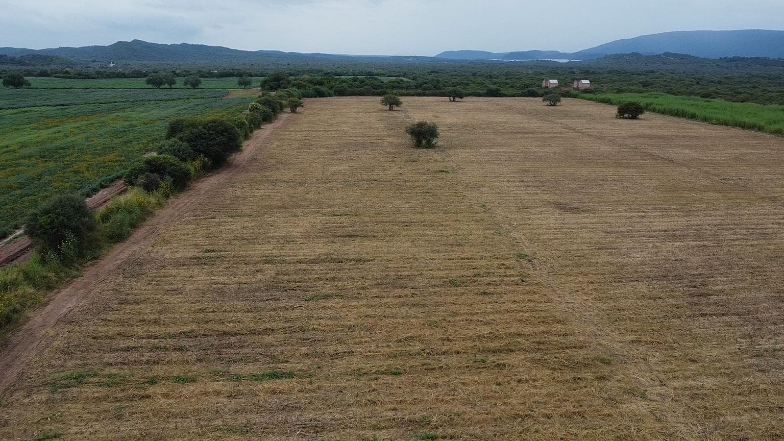 Hermosa Finca Agrícola en Venta - 1