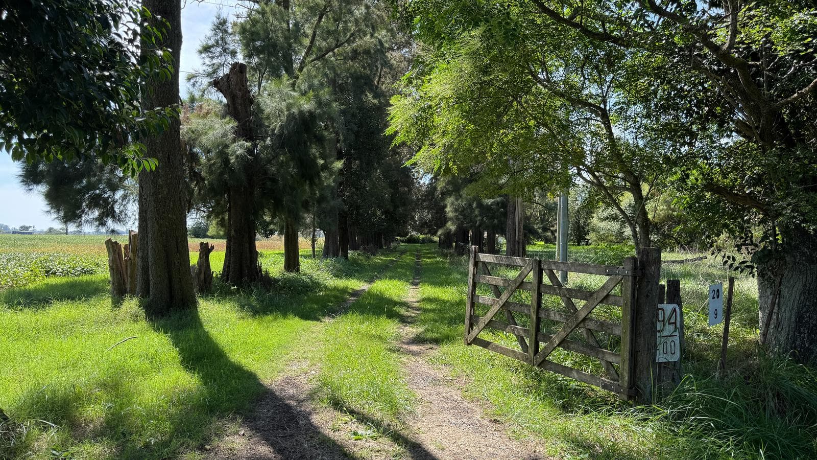 Campo de 13ha en venta en San Andres de Giles excelente ubicacion - 1