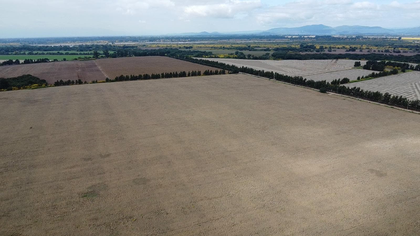 Campo en Venta en El Carmen - 1