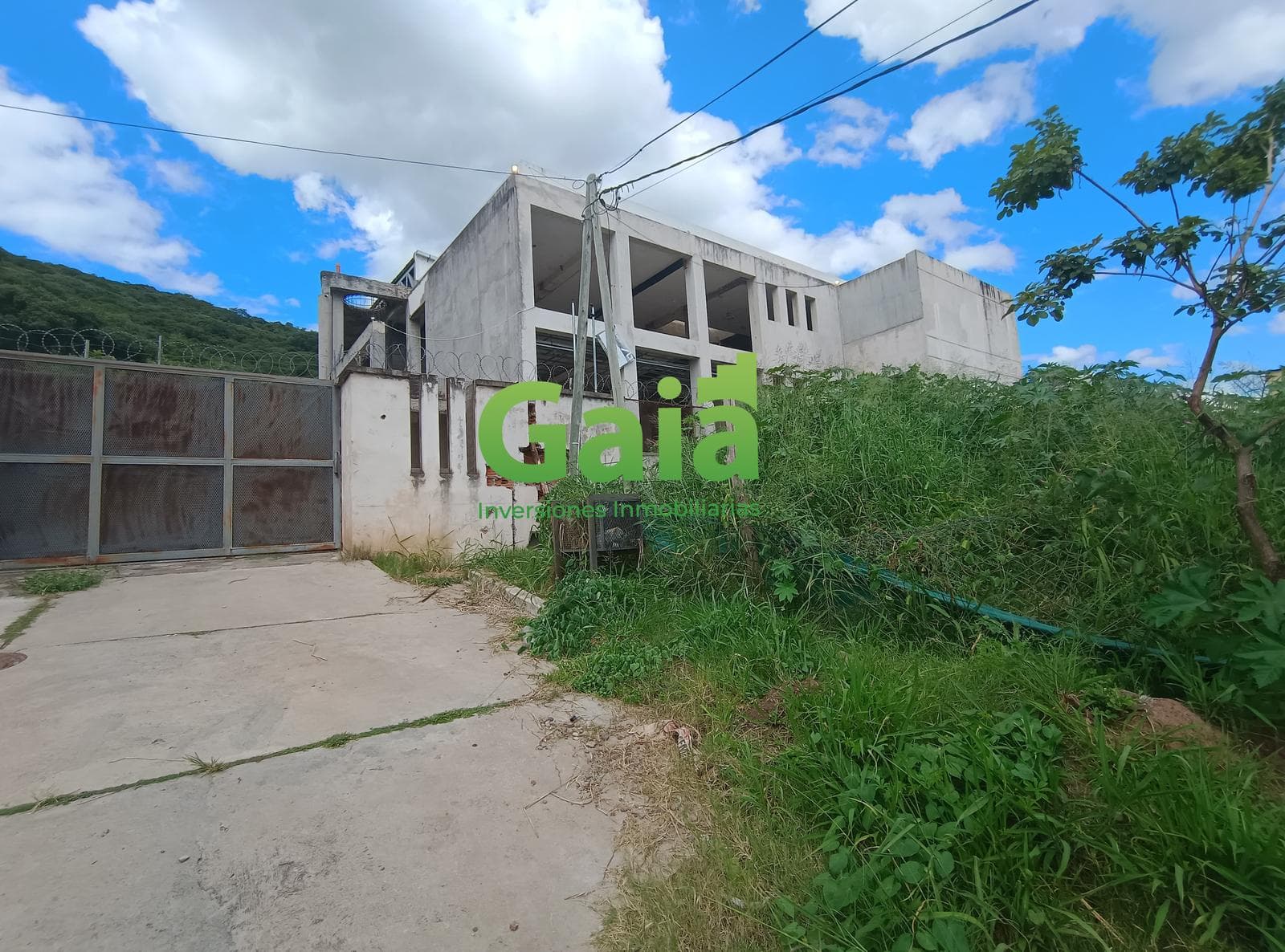 EDIFICIO LOS OLMOS al 400 ESQUINA LOS JUNCOS - 1