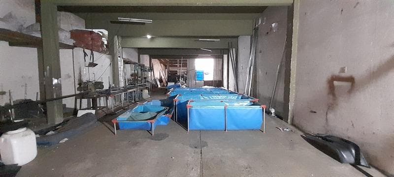 Galpón en Ciudadela - 1