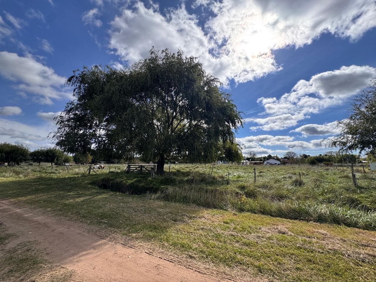 DOS LOTES EN VENTA EN PAVON GARITA 5 - 1