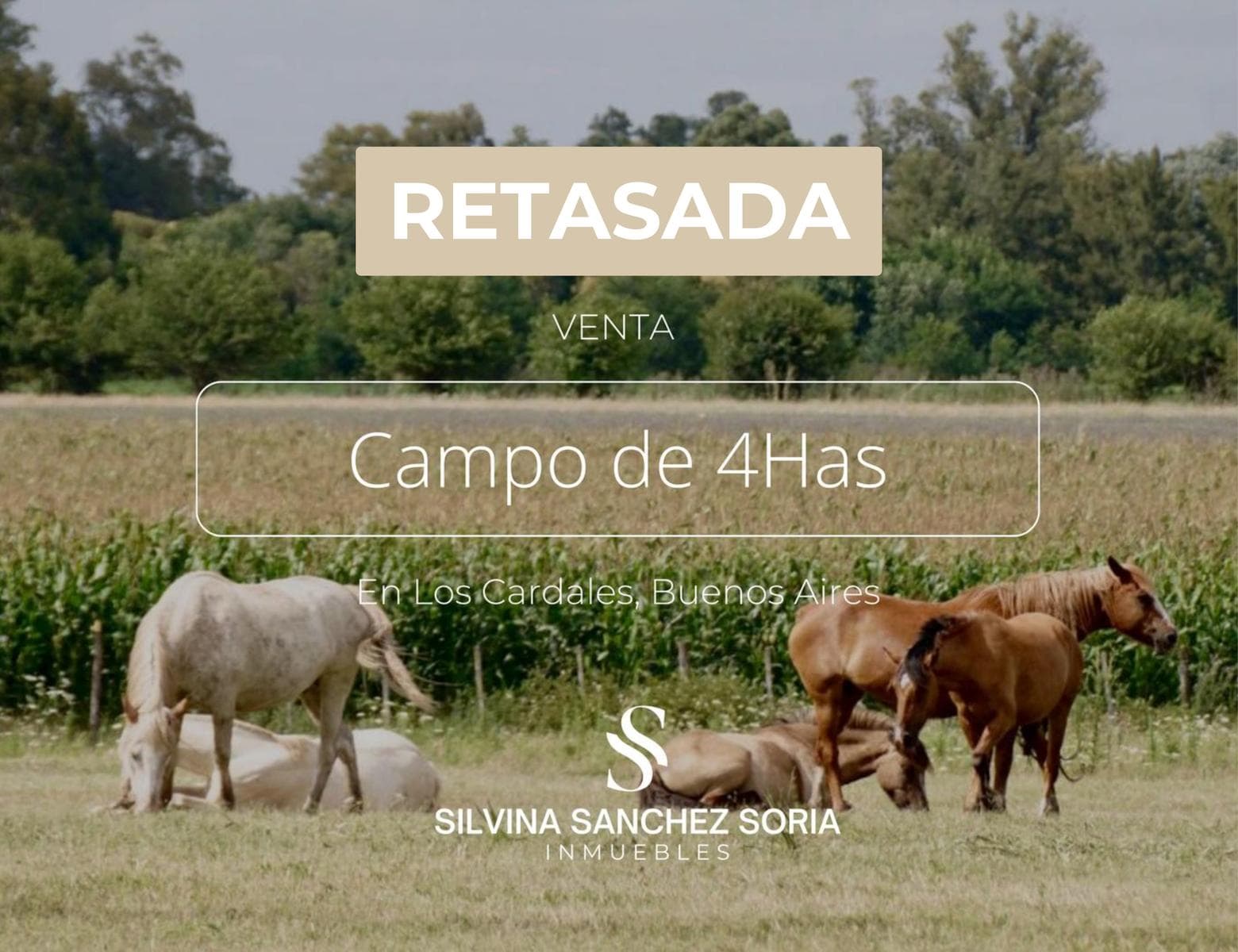 4 HAS EN VENTA, LOS CARDALES - 1