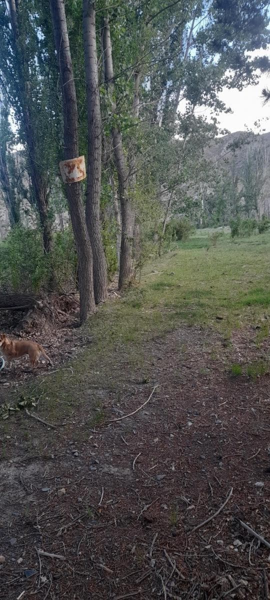 Terreno en venta - 6.500Mts2 - Mendoza - 1