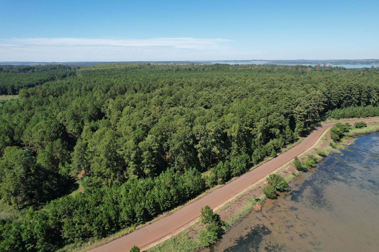 Campo en venta 41 hectáreas sobre Costa en Candelaria - 1