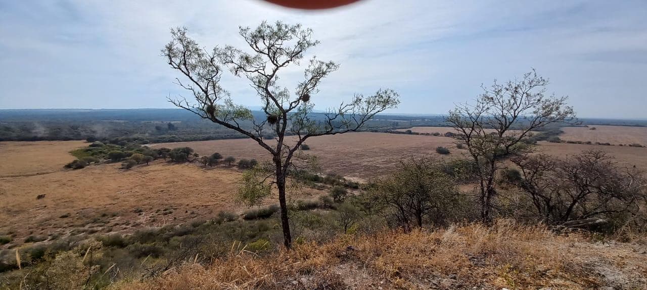 CAMPO VENTA HORCONES R DE LA FRONTERA SALTA 1829 Has - 1