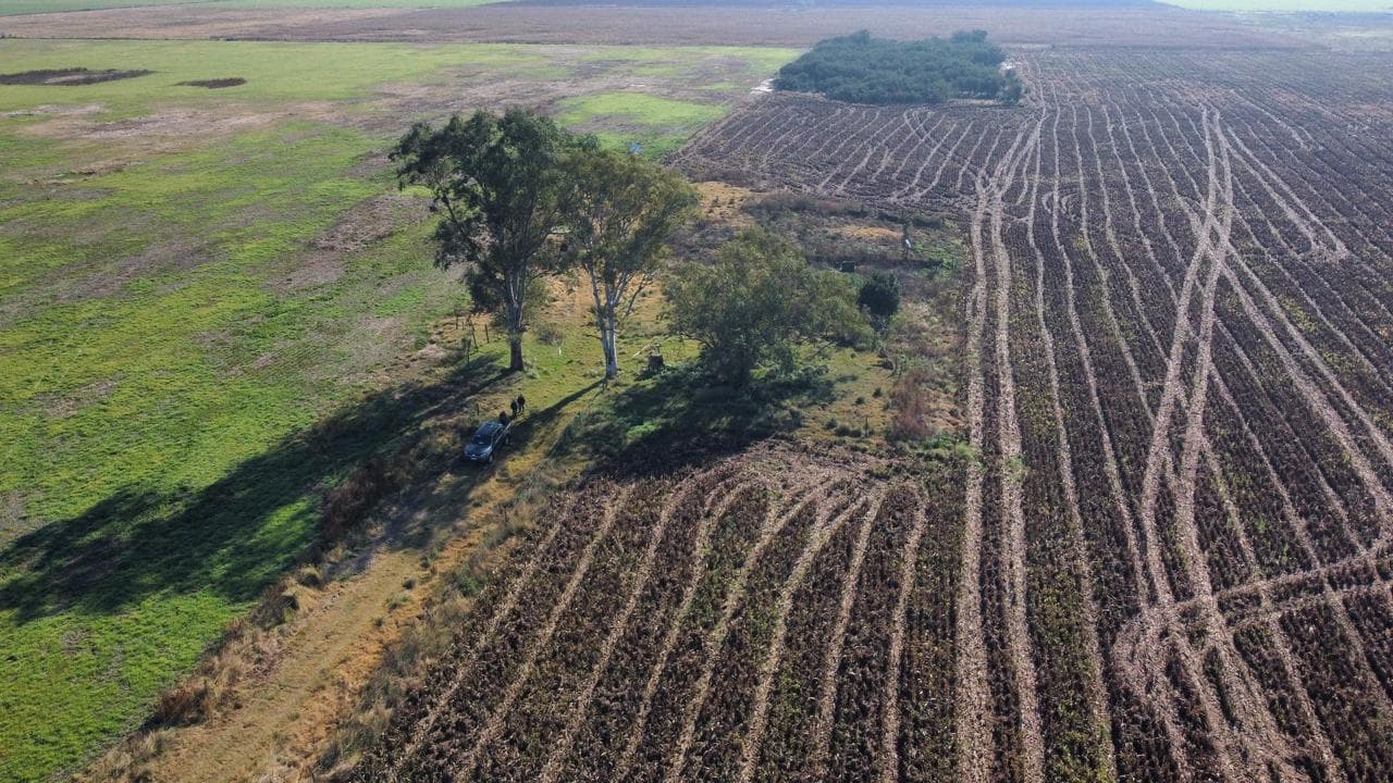 Campo en Presidente Roca - 1