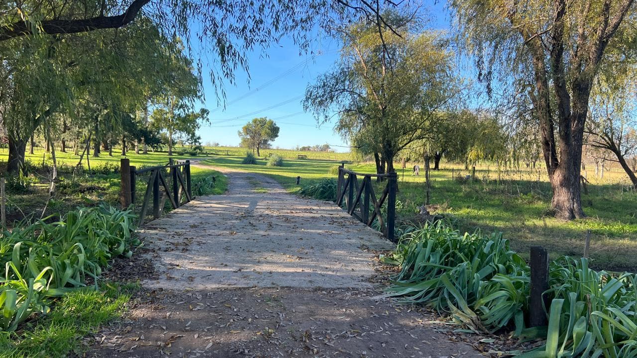 Chacra de polo en Lujan 9 has con caballerizas - 2
