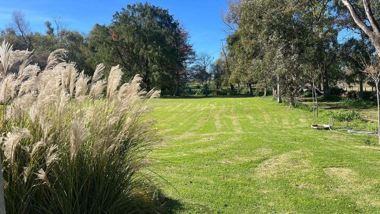 Chacra de polo en Lujan 9 has con caballerizas - 1