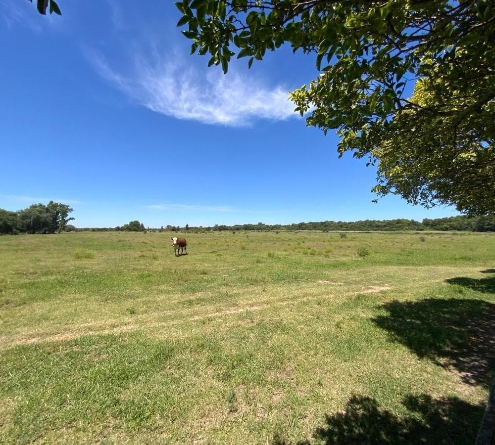 En venta 24 has casa, galpón Capilla de los Remedios - 1