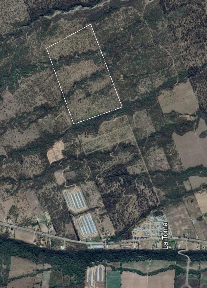 51 Has en la toma - 1