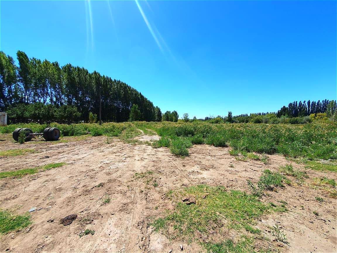 Chacra en San Patricio del Chañar 5 Has- Añelo- Neuquen - 2