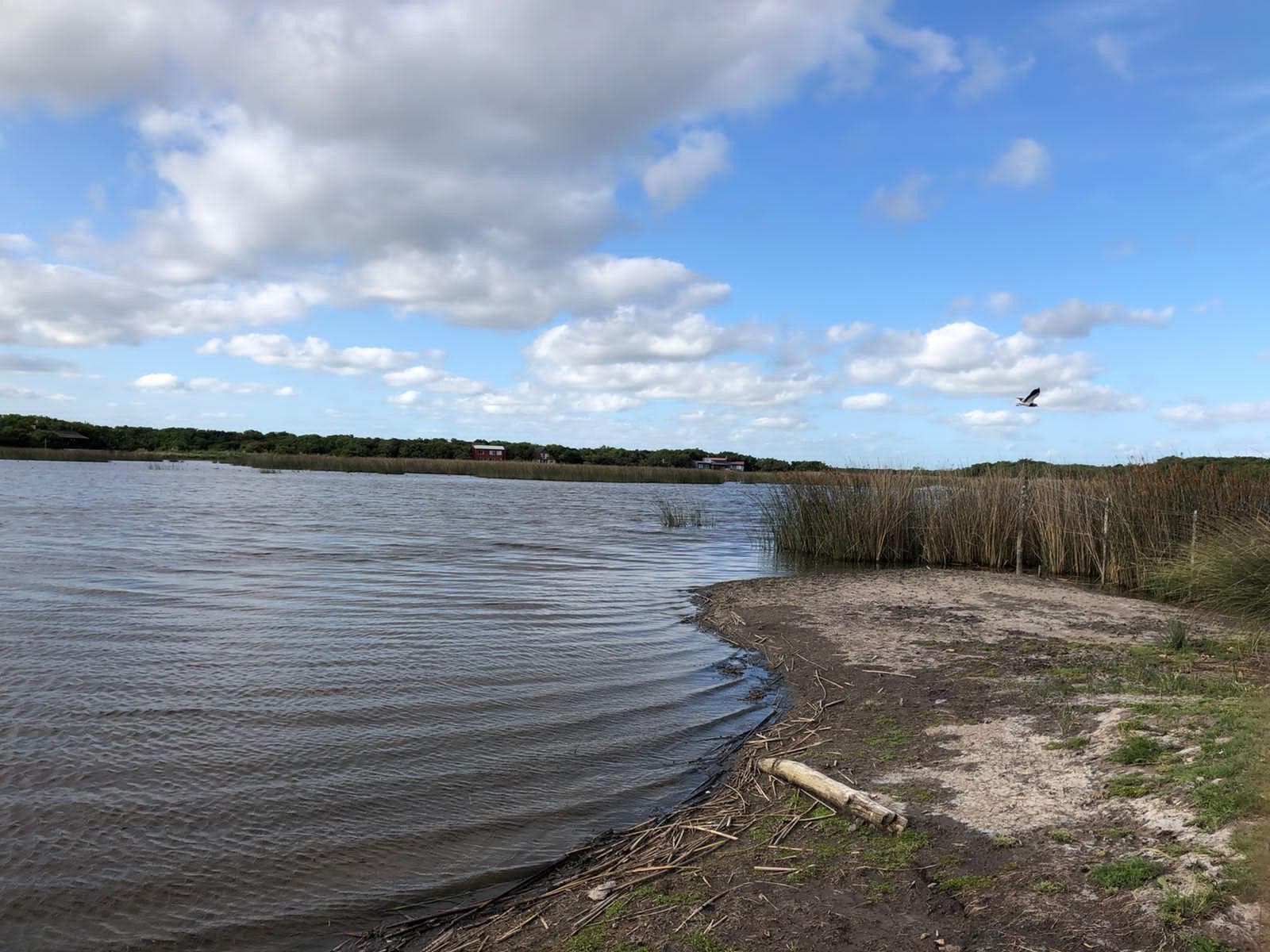 Chacra en venta - 16.100Mts2 - Pinamar - 1