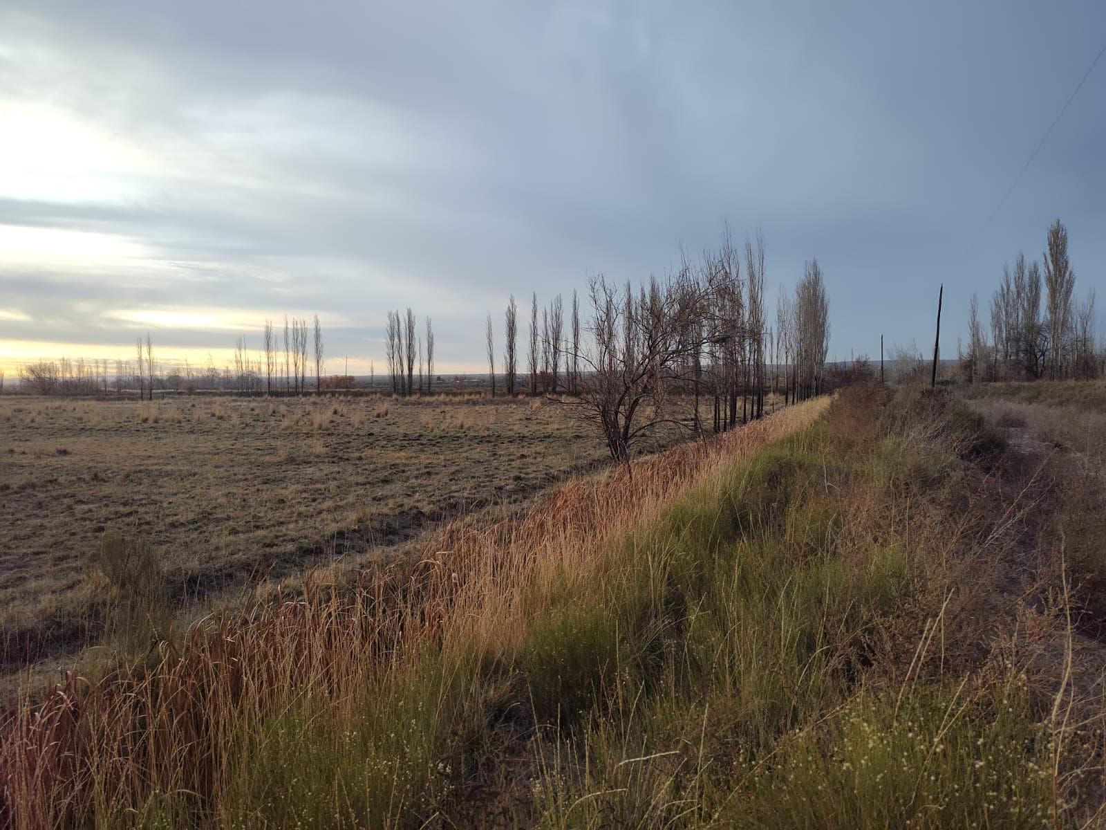 Chacra en Venta. - 1