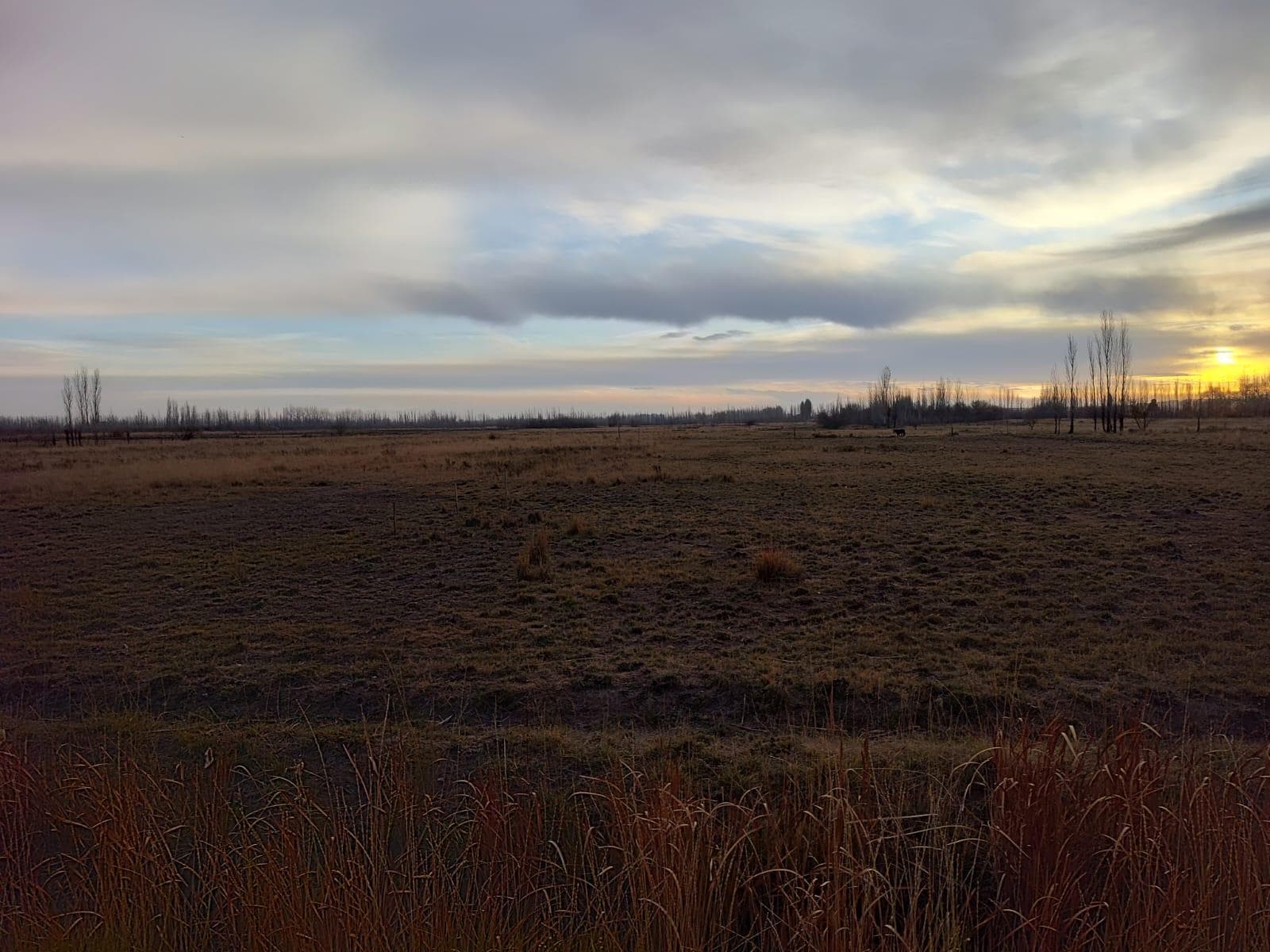 Chacra en Venta. - 2