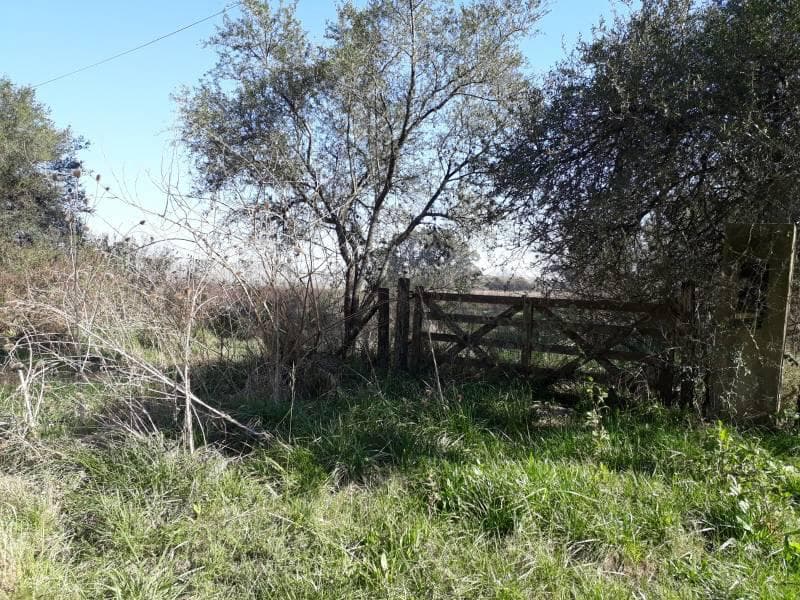 Campo en venta en Los Cardales - 1