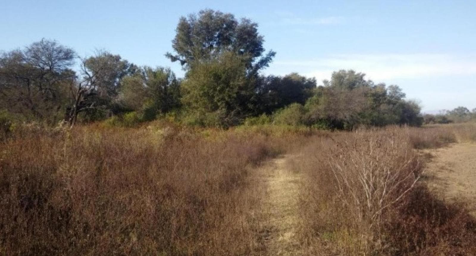 Campo en venta - 188 Hectáreas - Santiago del Estero - 1