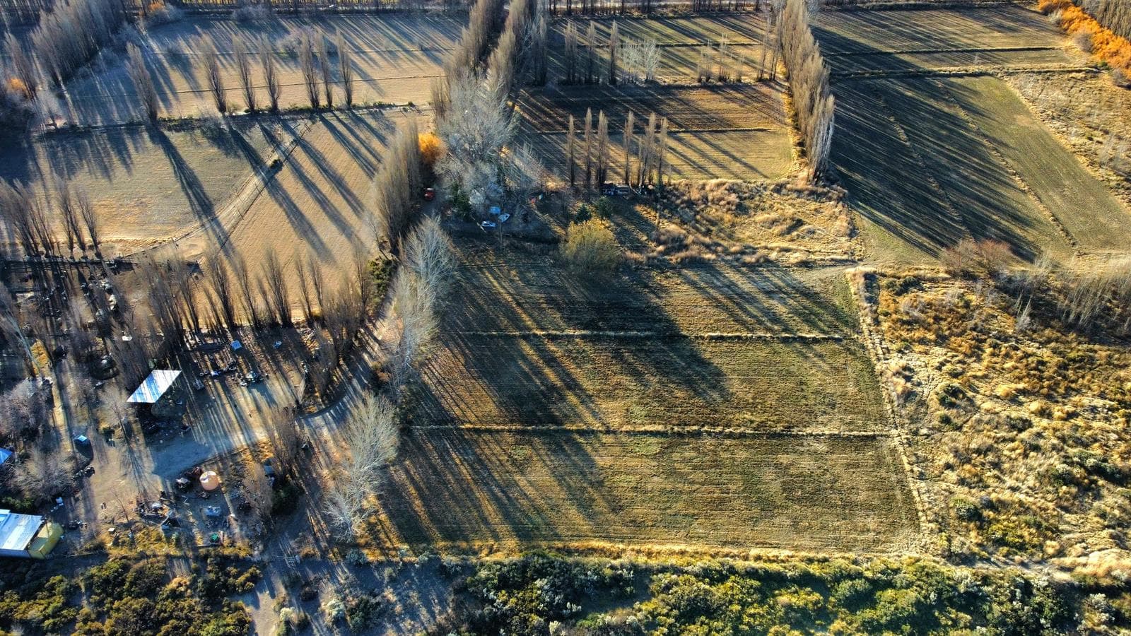 Chacra en Picun Leufu - 1