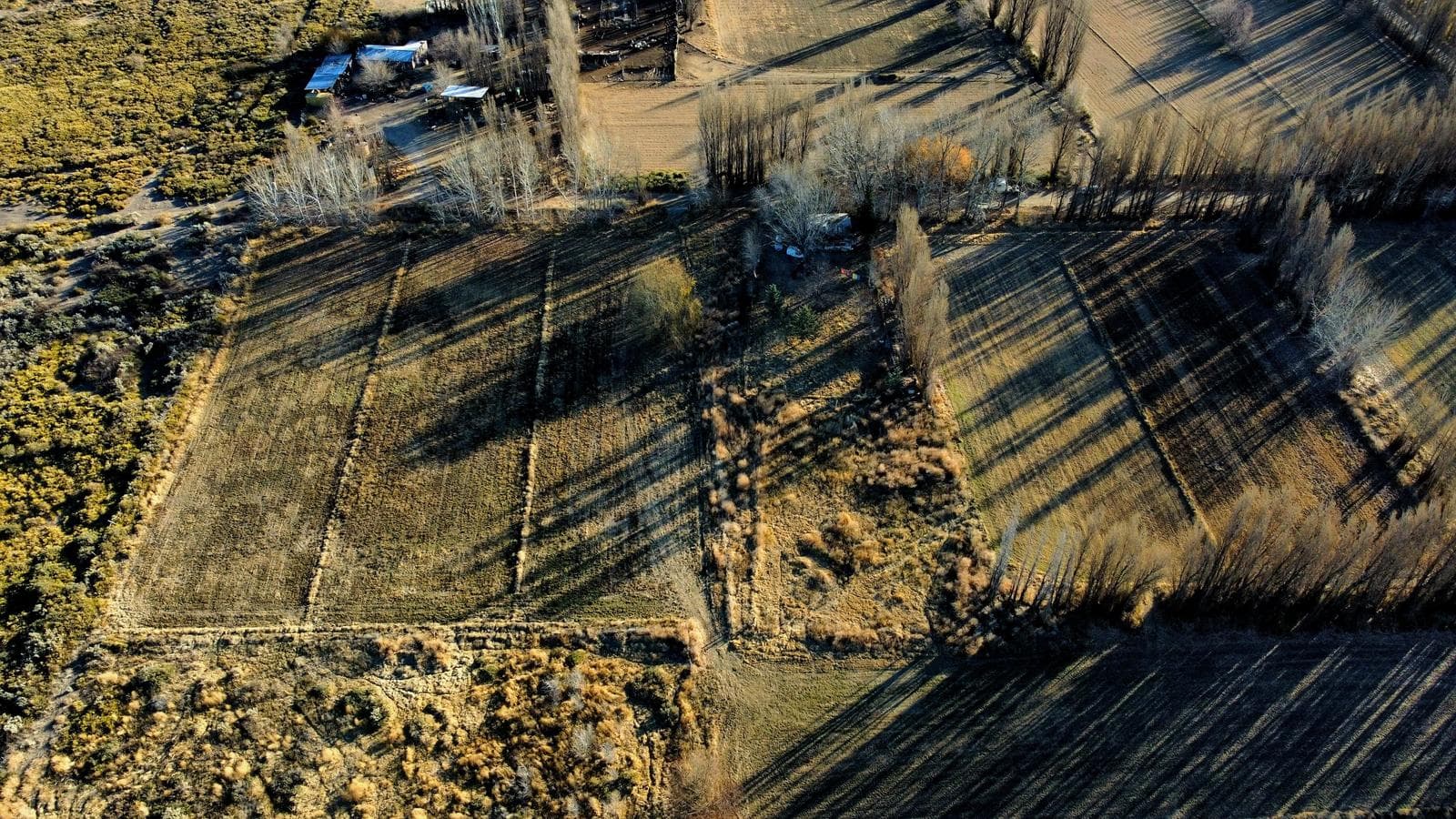 Chacra en Picun Leufu - 2